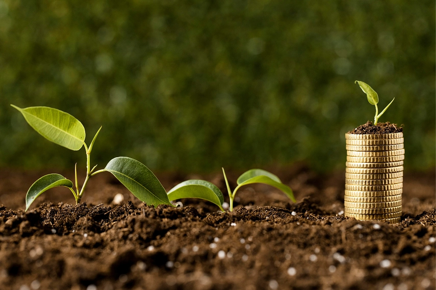 Growth and prosperity with BitesBanq